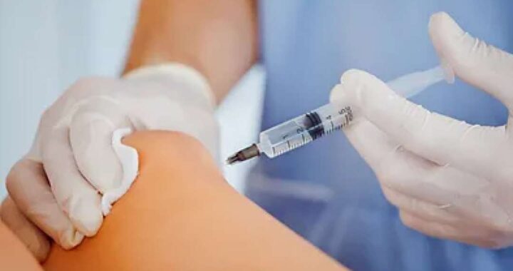 What Services Does the Hemi Pharma Website Offer? A Complete Guide to Its Online Features and Benefits