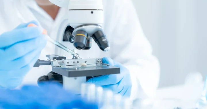The Role of Intex Pharma Research in Improving Modern Medical Research